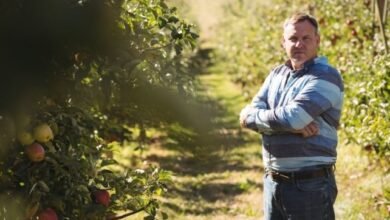 Renegociação de dívidas rurais no Banco do Brasil após alta da inadimplência no agronegócio