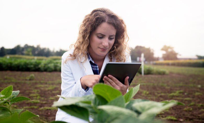 ecuperação judicial no agronegócio provimento 216 CNJ