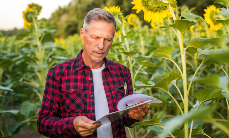 recuperação judicial de produtores rurais no agronegócio brasileiro