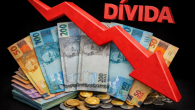 brasileiros endividados impacto no consumo e credito