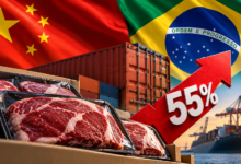 China, carne bovina, tarifa de 55%, exportação, comércio exterior, agronegócio, pecuária, frigoríficos, mercado chinês, economia, exportações brasileiras, cota de importação, Brasil-China, Portal de Notícias ContraPonto, Portal de Notícias Contra Ponto