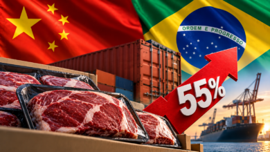 China, carne bovina, tarifa de 55%, exportação, comércio exterior, agronegócio, pecuária, frigoríficos, mercado chinês, economia, exportações brasileiras, cota de importação, Brasil-China, Portal de Notícias ContraPonto, Portal de Notícias Contra Ponto